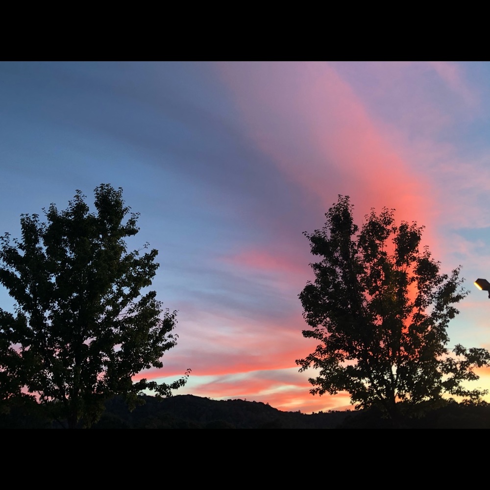 Meet your Posher, Natalia